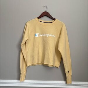 Champion Crop Sweatshirt Fleece Pull over